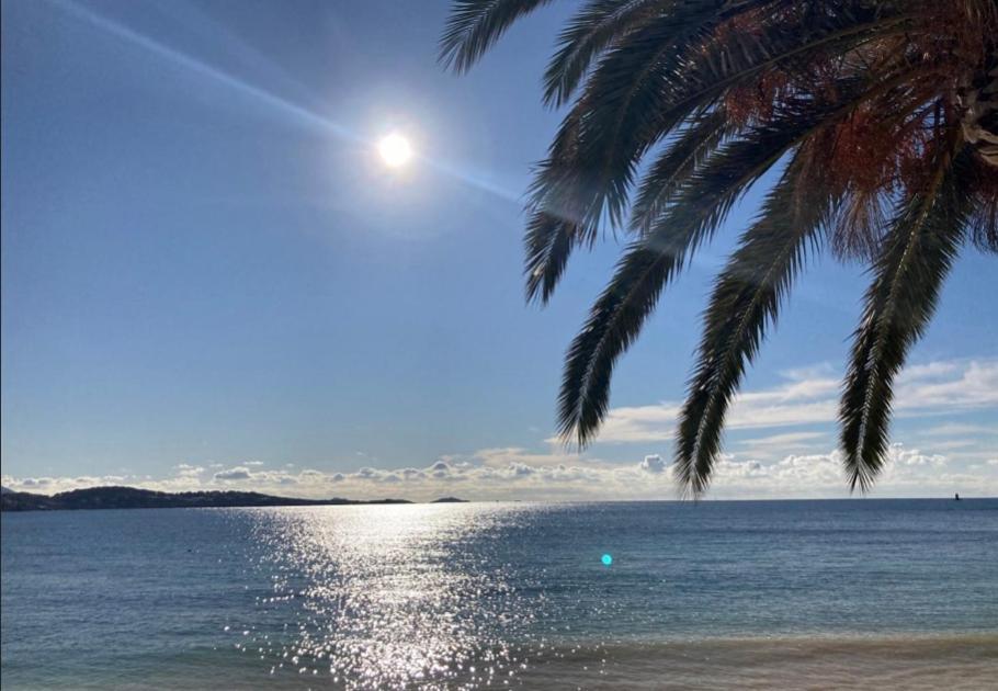 L Annexe 50M De La Plage Bandol Exterior photo